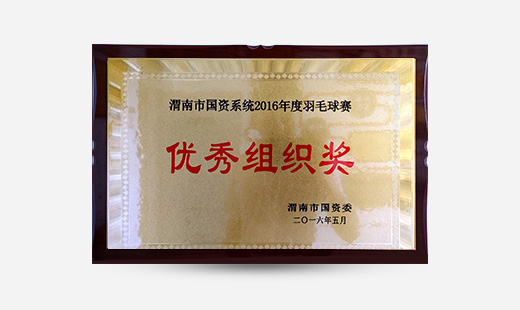 渭南市國資系統2016年度羽毛球賽優秀組織獎